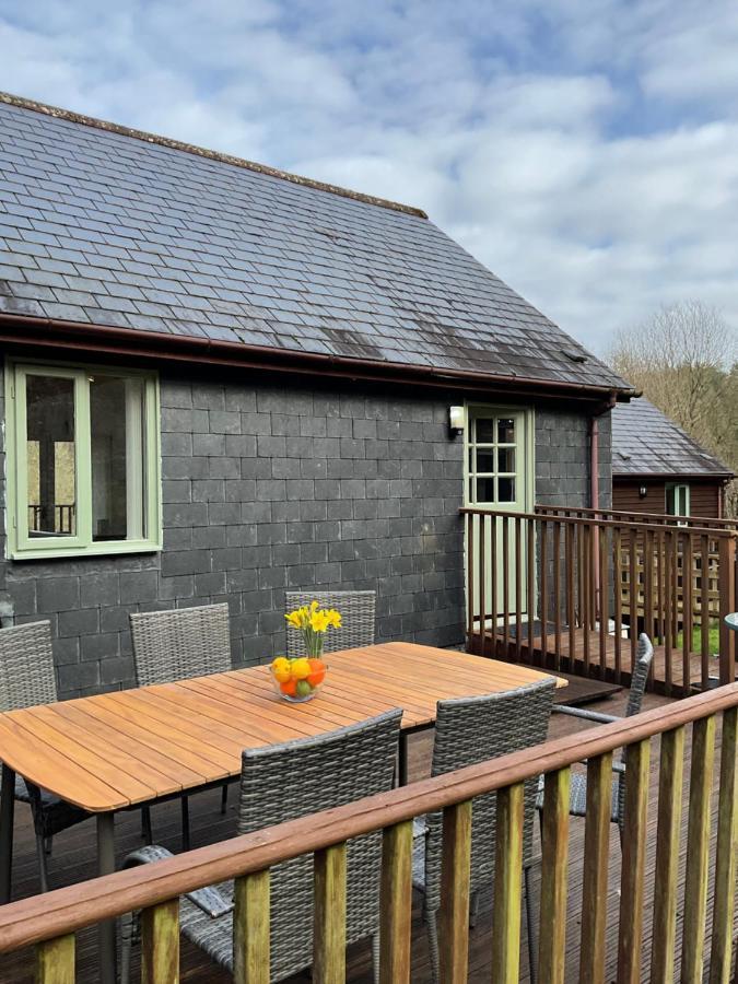 Willa 8 Oakridge, St Mellion Zewnętrze zdjęcie